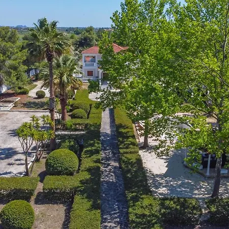 Adriana Di Levante By 