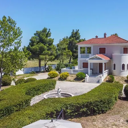 Adriana Di Levante By 