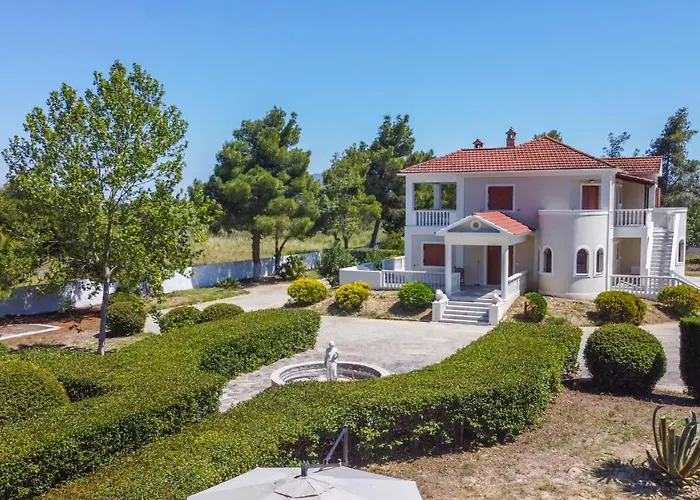 Adriana Di Levante By 